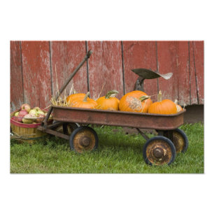 Impression Photo Citrouilles dans un vieux chariot