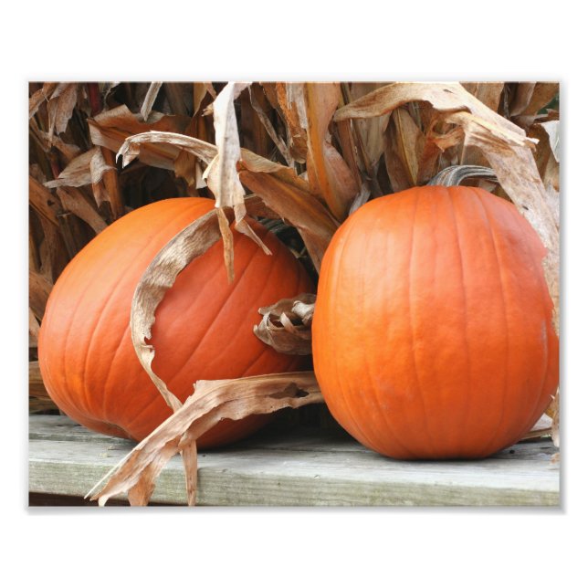 Impression Photo Citrouilles Et Étapes De Maïs Séché Automne 8x10 (Devant)