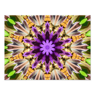 IMPRESSION PHOTO CLEMATIS