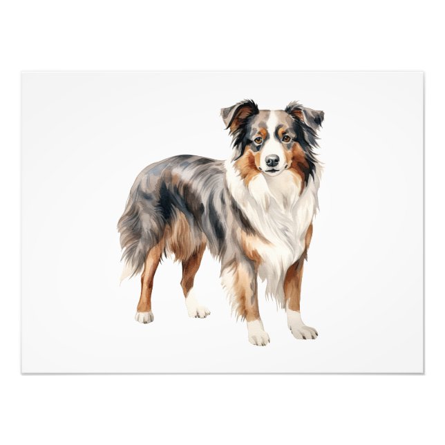 Impression Photo Clipart d'aquarelle Australian Shepherd'Australie (Devant)