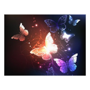 Impression Photo Clowing Night Butterflies