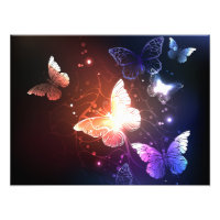 Clowing Night Butterflies