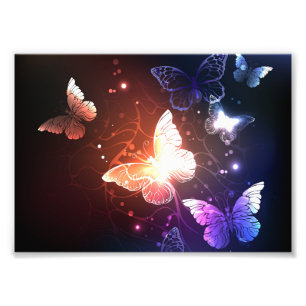 Impression Photo Clowing Night Butterflies