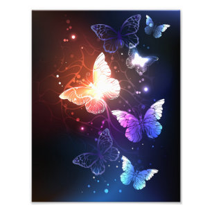Impression Photo Clowing Night Butterflies