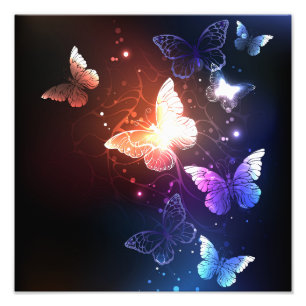 Impression Photo Clowing Night Butterflies