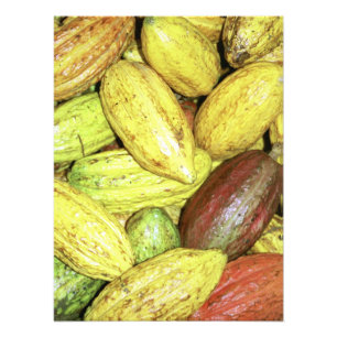 Impression Photo Cocoa pods