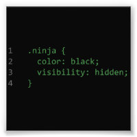 Code CSS Ninja