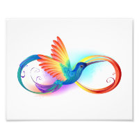 Colibri arc-en-ciel avec symbole Infinity