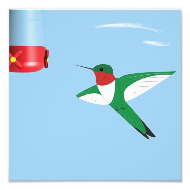 Impression Photo Colibri en vol (Devant)