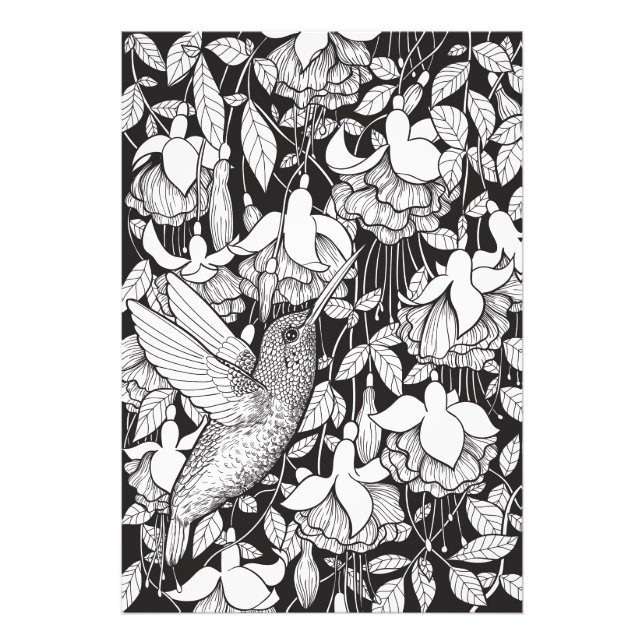 Impression Photo Colibri et fuchsia (Devant)