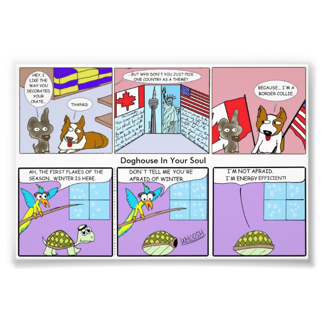 Impression Photo Collie frontalier / Efficacité énergétique (Devant)