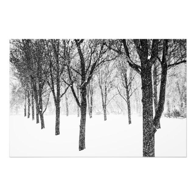 Impression Photo comme je prends le parti des arbres (Devant)