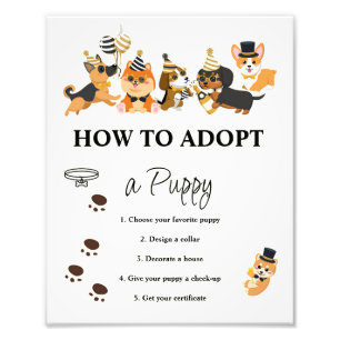 Impression Photo Comment Adopter Un Signe De Chiot