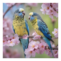 "Compagnons Vifs : Perruches Bleues et Jaunes"