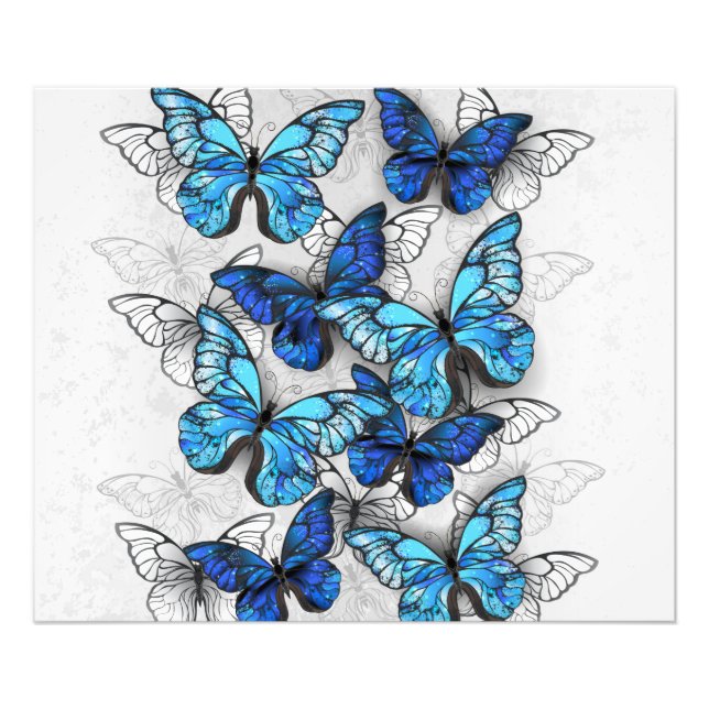 Impression Photo Composition des White and Blue Butterflies (Devant)