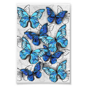 Impression Photo Composition des White and Blue Butterflies