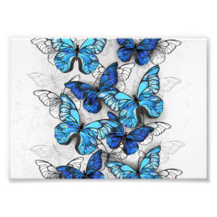 Impression Photo Composition des White and Blue Butterflies
