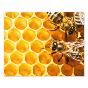 Impression Photo Conception de motif en nid d'abeilles et abeilles