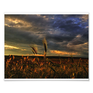 Impression Photo Conversation avec le vent