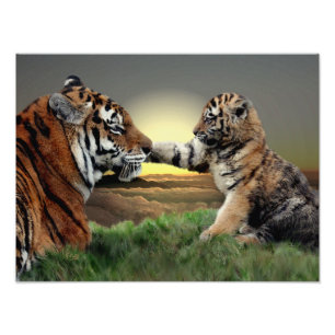 Impression Photo Copie de tigre et d'édition de CUB Digital