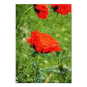 Impression Photo Coquelicot rouge