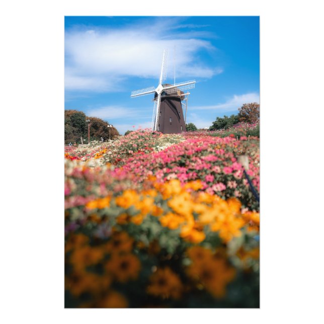 Impression Photo Cosmos and windmills (Devant)