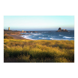 Impression Photo Côte de Californie