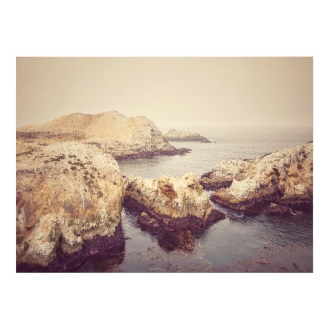 Impression Photo Côte de Point Lobos (Devant)