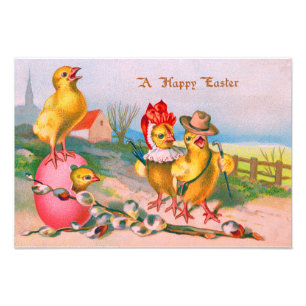 Impression Photo Coton d'oeuf couleur poulet de Pâques