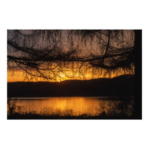 Impression Photo Coucher De Soleil À Travers Les Arbres
