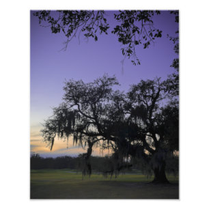 Impression Photo Coucher de soleil d'Audubon Park