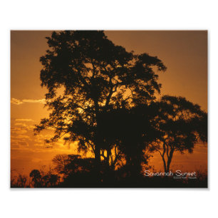 Impression Photo Coucher de soleil de Savannah