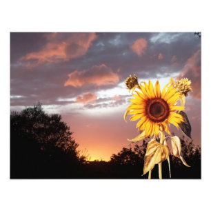 IMPRESSION PHOTO COUCHER DE SOLEIL ÉTÉ