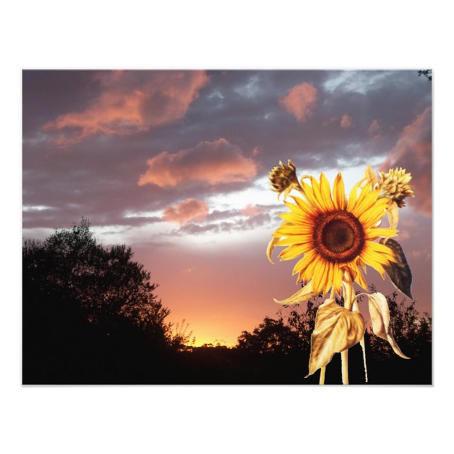 IMPRESSION PHOTO COUCHER DE SOLEIL ÉTÉ (Devant)