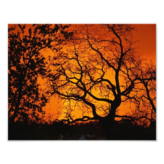 Impression Photo Coucher de soleil orange (Devant)