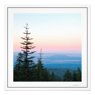 Impression Photo Coucher de soleil sur pins par Sidharta