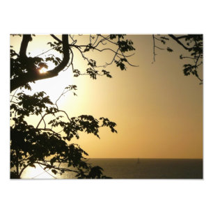 Impression Photo Coucher du soleil à travers les arbres II Photogra