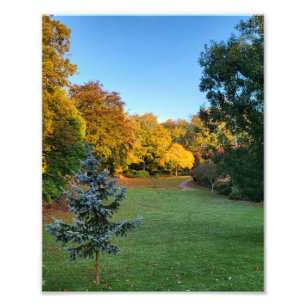Impression Photo Couleurs d'automne