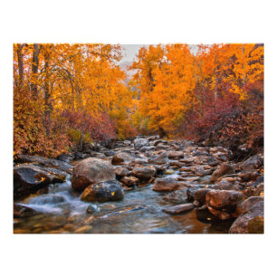 Impression Photo Couleurs d'automne dans les montagnes du Ruby