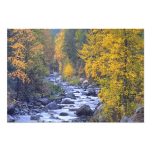 Impression Photo Couleurs d'automne des forêts dans The Cascade 5