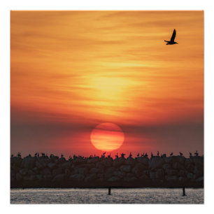 Impression Photo Couleurs de coucher de soleil magnifiques - Marina