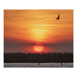 Impression Photo Couleurs Magnifiques de Coucher de Soleil - Marina