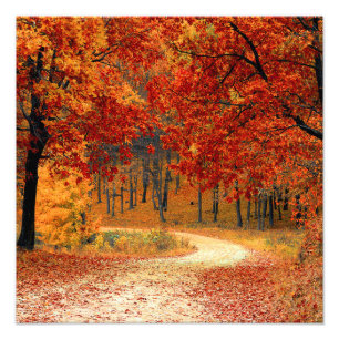 Impression Photo Couleurs saisonnières de l'automne