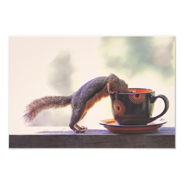 Impression Photo Coupe d'écureuil et de café (Devant)