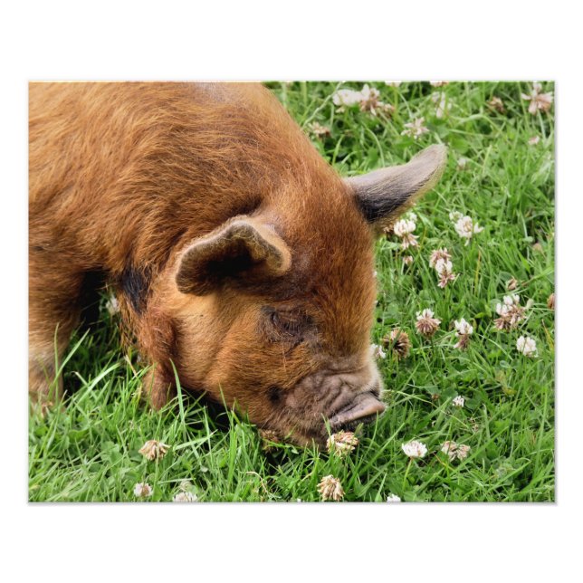 IMPRESSION PHOTO COUPER (Devant)