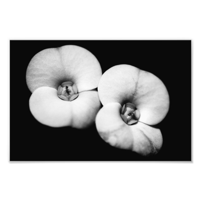 Impression Photo couronne d'épines (Devant)