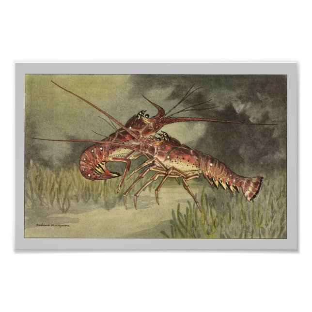 Impression Photo Crawfish ou langouste Imprimer Vintage (Devant)