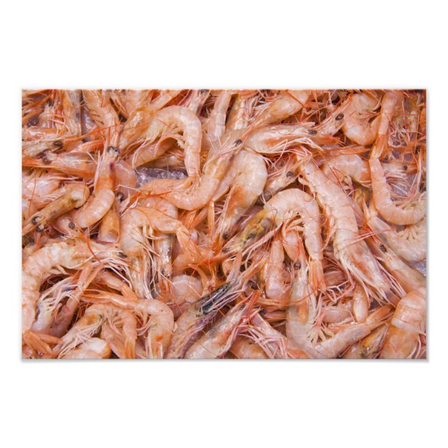 Impression Photo Crevettes (Devant)