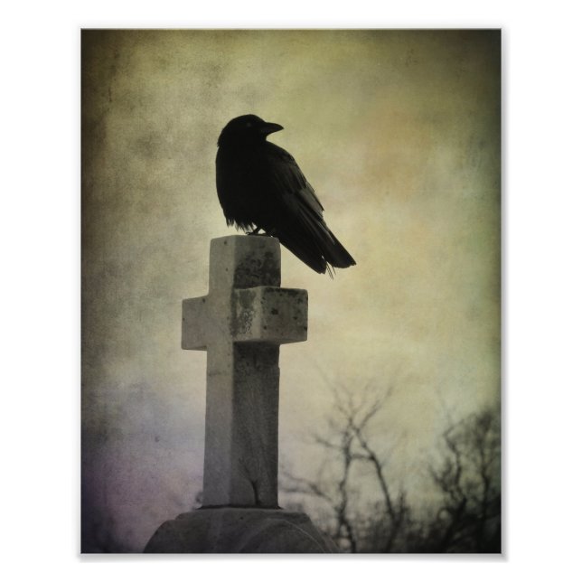 Impression Photo Crow Lone Sur Une Croix (Devant)