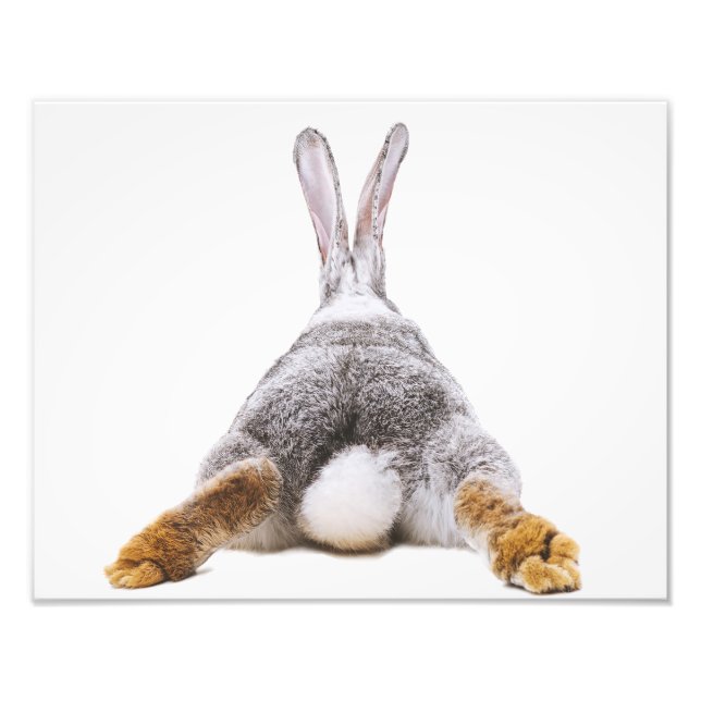 Impression Photo Cute Bunny Cotton Queue Animal Wall Art (Devant)